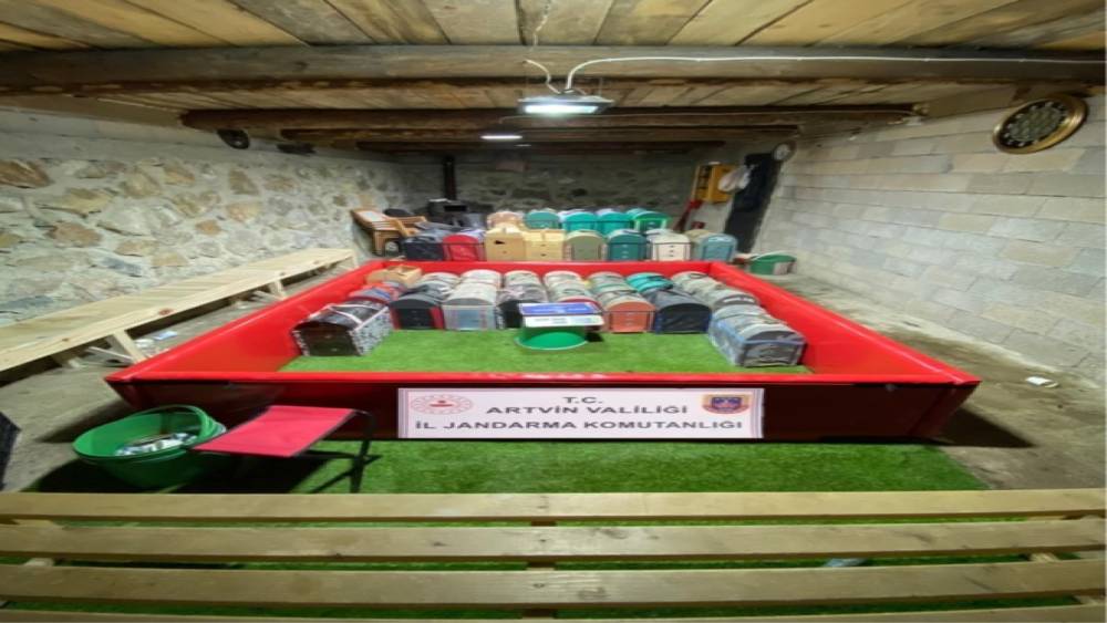 Artvin&rsquo;de horoz d&ouml;v&uuml;ş&uuml;ne jandarma baskını: 39 kişiye toplam 500 bin lira ceza

