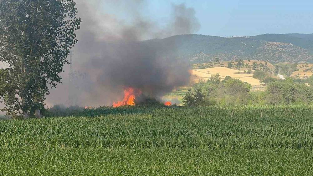 Kastamonu&rsquo;da buğday tarlası alev alev yandı
