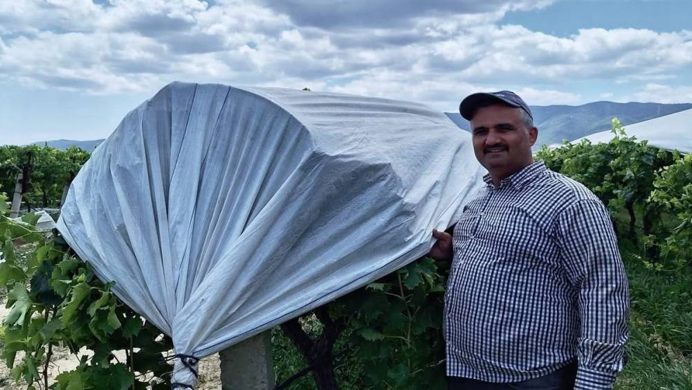 Sarıg&ouml;l Ovası beyaza b&uuml;r&uuml;nd&uuml;
