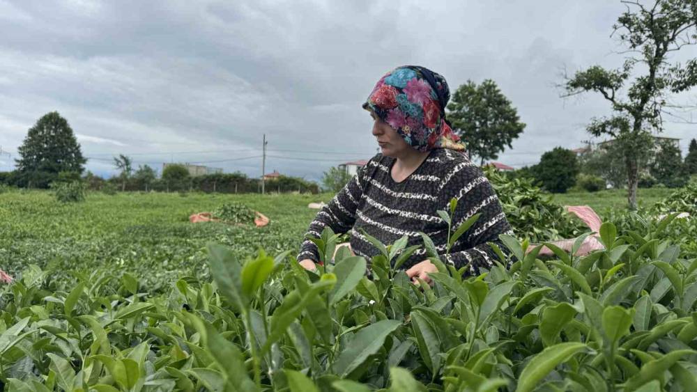 2. s&uuml;rg&uuml;n yaş &ccedil;ay kampanyası hız kesmeden devam ediyor
