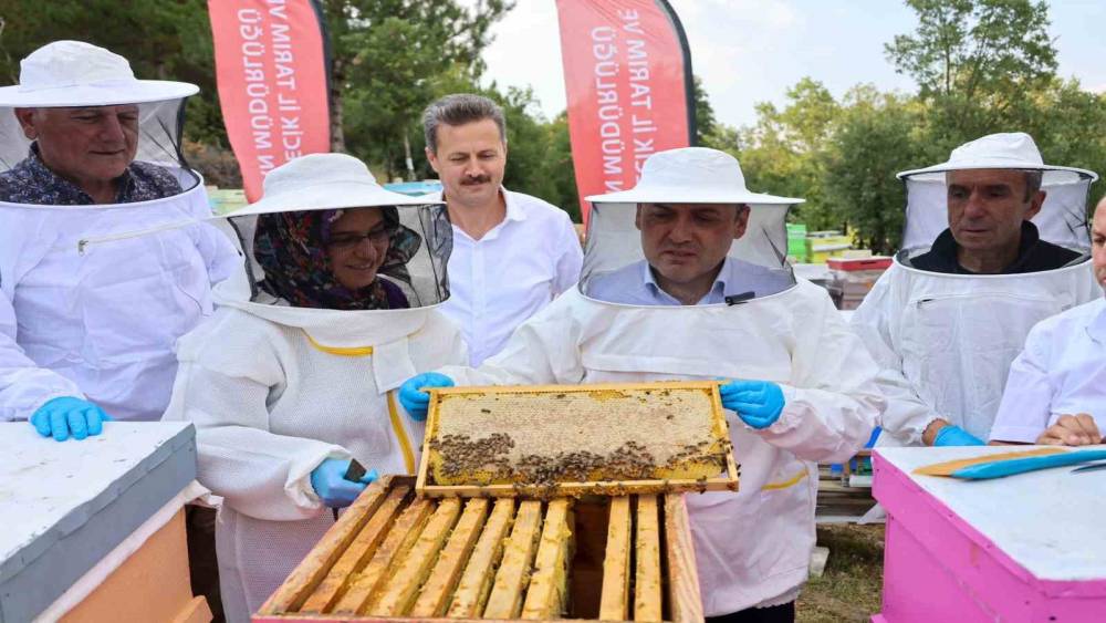 Bilecik&rsquo;te 22 bin 500 kovandan 135 ton bal &uuml;retiliyor
