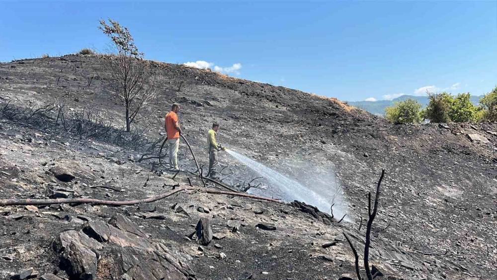 Alanya&rsquo;da ağa&ccedil;lık alanda &ccedil;ıkan yangında 10 d&ouml;n&uuml;m alan ve sera zarar g&ouml;rd&uuml;
