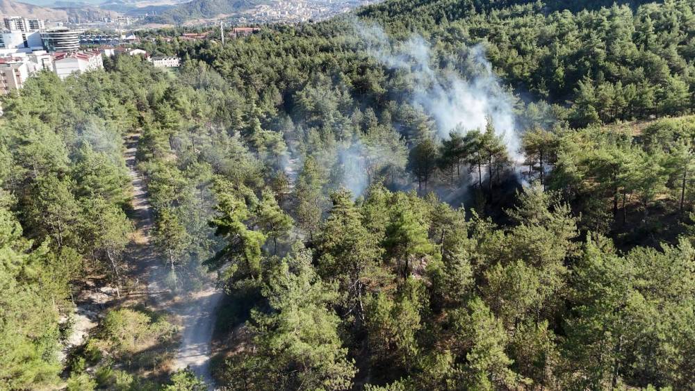 Kent ormanındaki &ouml;rt&uuml; yangını b&uuml;y&uuml;meden s&ouml;nd&uuml;r&uuml;ld&uuml;

