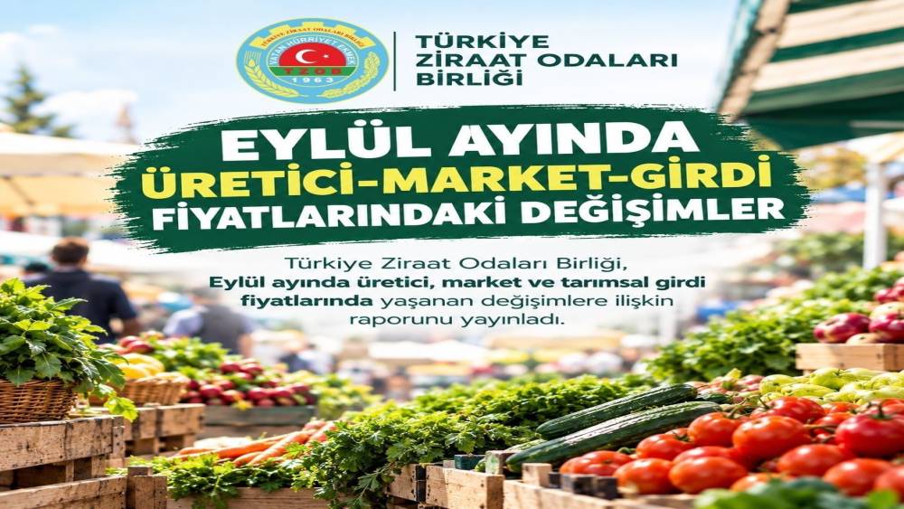 Eyl&uuml;l ayında &uuml;retici ve market arasındaki fiyat farkı en fazla limonda g&ouml;r&uuml;ld&uuml;
