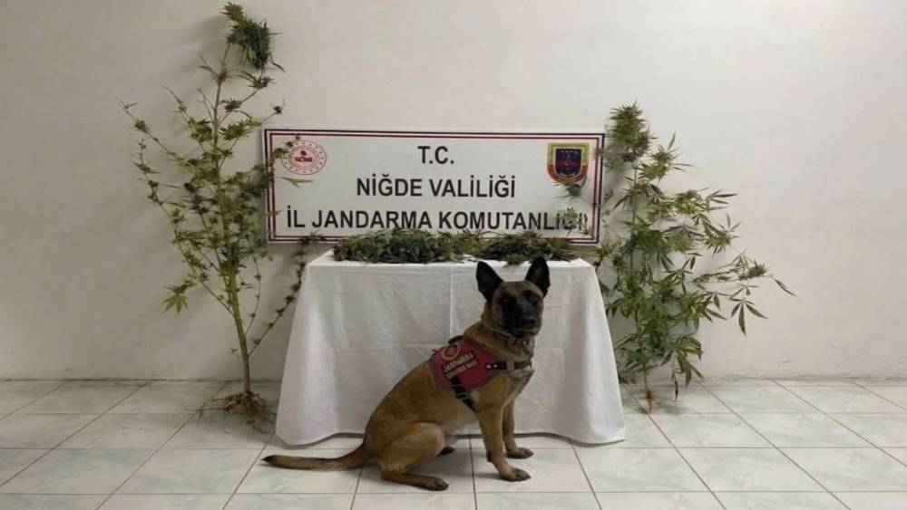 Ulukışla&rsquo;da uyuşturucu operasyonu: 350 gram uyuşturucu ele ge&ccedil;irildi
