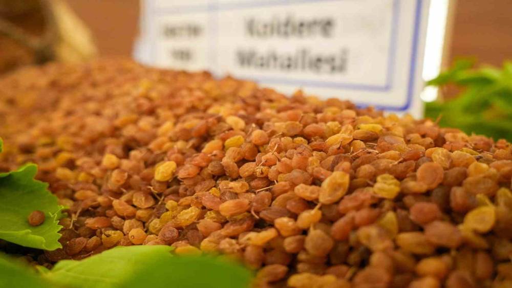 Manisa&rsquo;dan 321 milyon dolarlık kuru &uuml;z&uuml;m ihracatı
