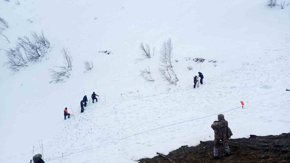 Artvin&rsquo;de &ccedil;ığ altında kalan &ccedil;oban 122 g&uuml;nd&uuml;r kayıp: Arama &ccedil;alışmaları yeniden başladı
