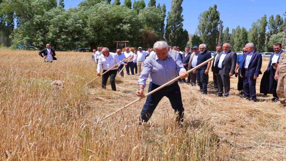 Binali Yıldırım Harman Şenliği&rsquo;nde tırpan salladı
