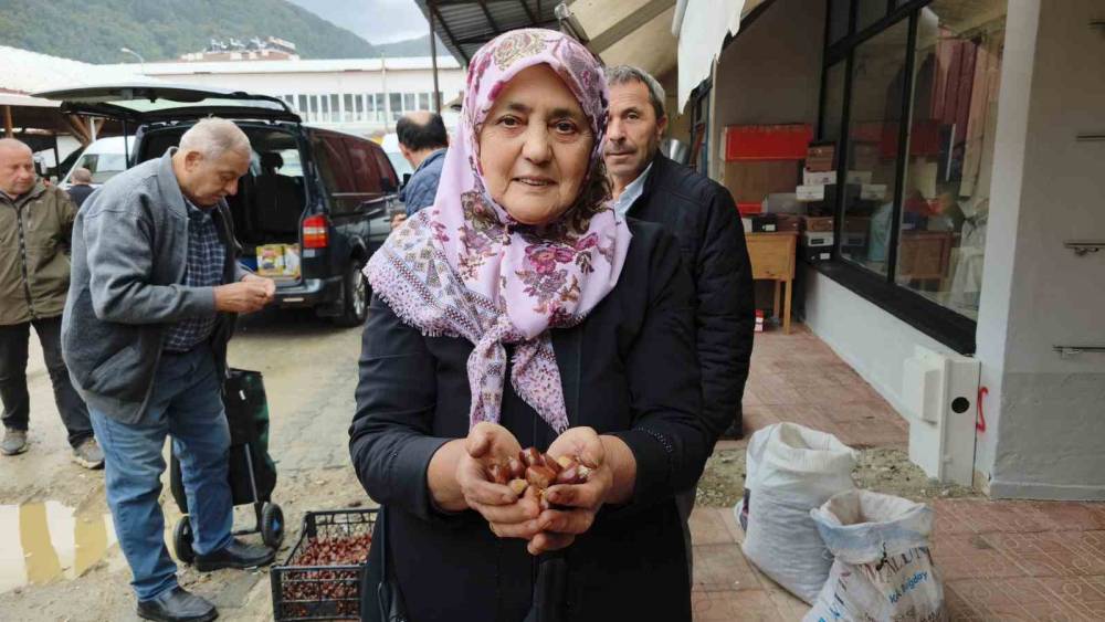 D&uuml;nyaca &uuml;nl&uuml; Erfelek kuzu kestanesi tezgahlarda

