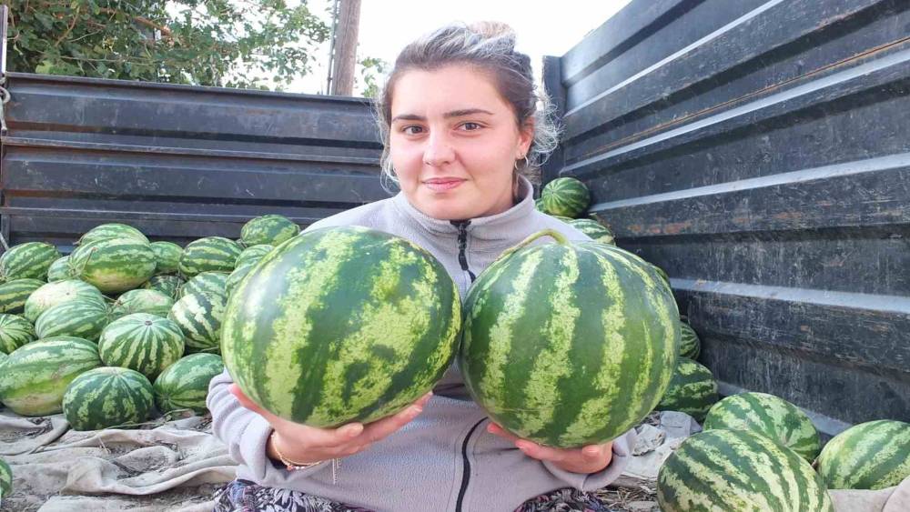 Burhaniye&rsquo;de g&uuml;z karpuzu &uuml;reticiyi sevindirdi
