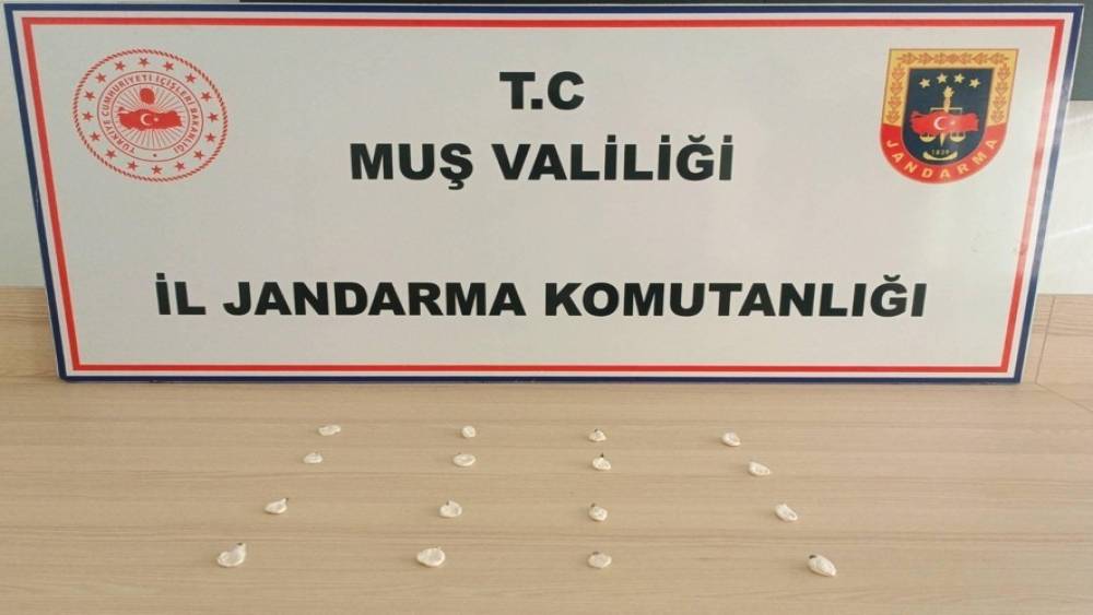 Muş&rsquo;ta jandarmadan uyuşturucu operasyonları: 19 olaya m&uuml;dahale edildi
