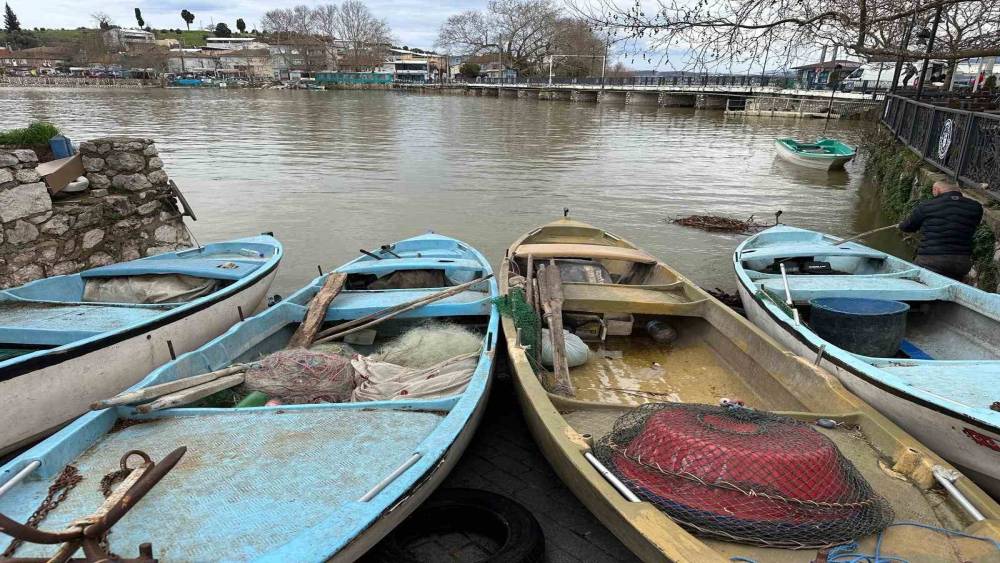 İstilacı İsrail sazanları balık&ccedil;ılara gelir kaynağı oldu
