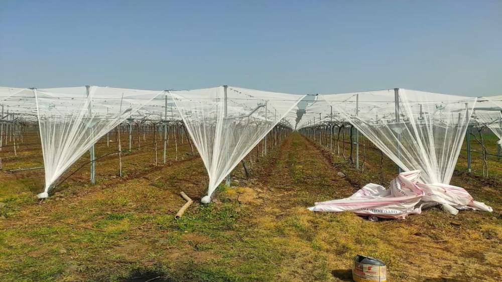 Dolu korkusuna fileli &ouml;nlem
