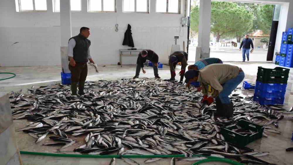 Muğla ihracatta Ege B&ouml;lgesi&rsquo;nde 4&rsquo;&uuml;nc&uuml; il
