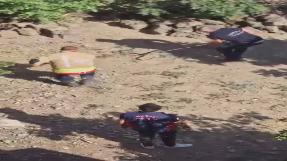 Yakalanacakken ka&ccedil;an yılan, ekipleri peşine taktı
