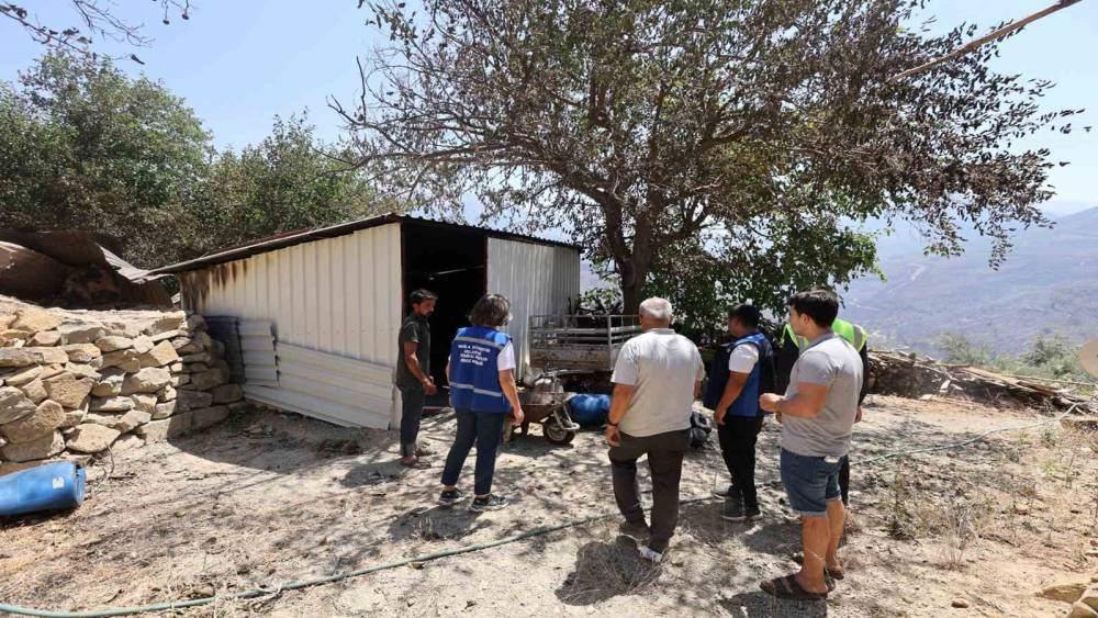Yangında zarar g&ouml;ren &ccedil;ift&ccedil;ilere Muğla B&uuml;y&uuml;kşehir desteği
