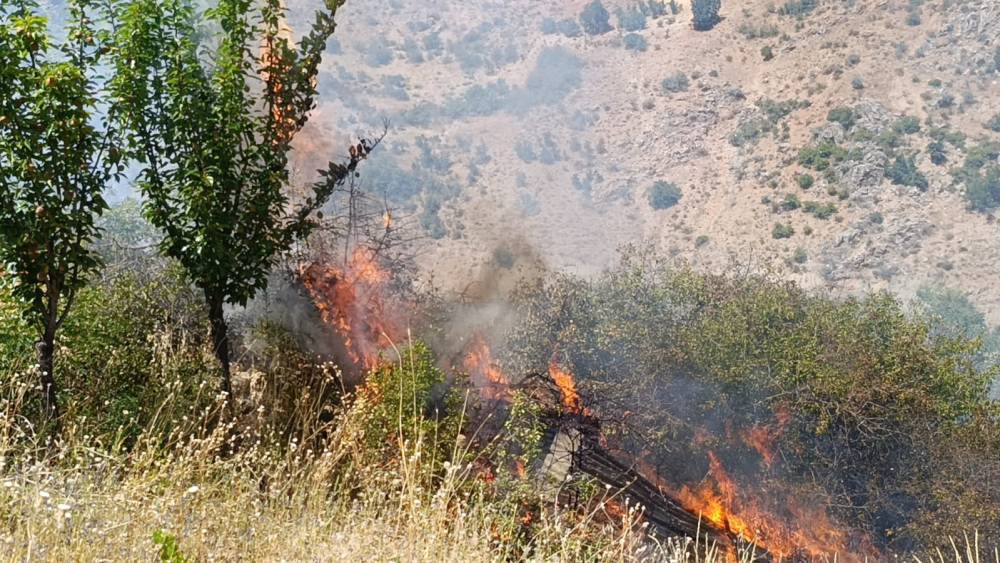 Malatya&rsquo;da meyve bah&ccedil;esi ve &uuml;z&uuml;m bağlarında yangın
