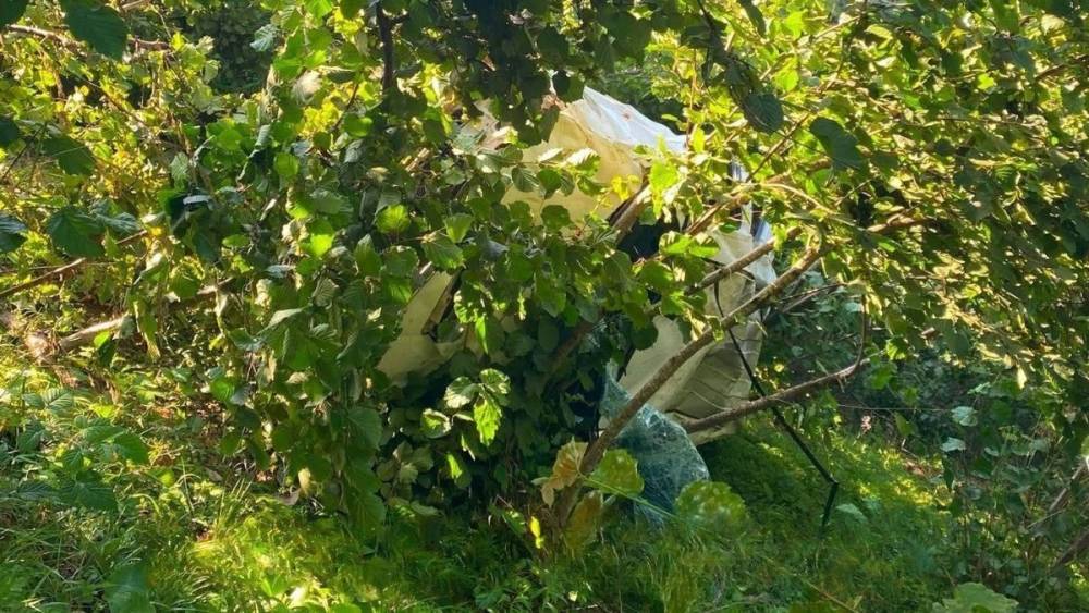 Giresun&rsquo;da kamyonet fındık bah&ccedil;esine devrildi: 1 &ouml;l&uuml;
