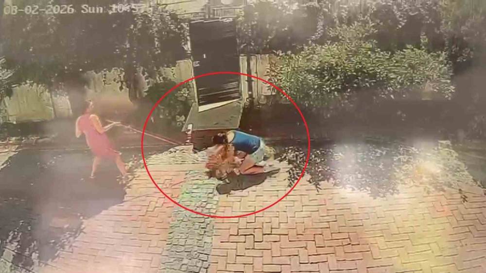 Samsun&rsquo;da pitbull dehşeti: K&uuml;&ccedil;&uuml;k kızı yere savurdu, k&ouml;peğini ise ağır yaraladı
