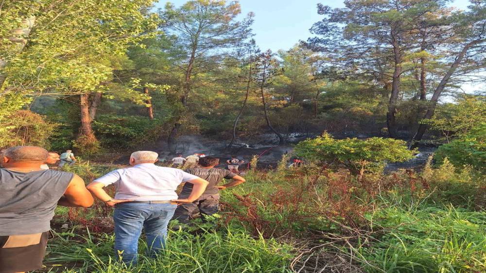 K&ouml;yceğiz&rsquo;de ormanlık alana sı&ccedil;rayan yangın kısa s&uuml;rede s&ouml;nd&uuml;r&uuml;ld&uuml;
