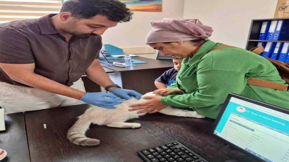 Hatay&rsquo;da kuduz aşılama &ccedil;alışmaları s&uuml;r&uuml;yor
