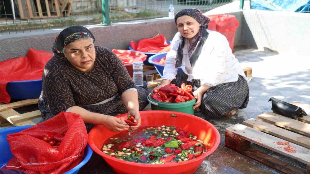 Damlar şarkılı t&uuml;rk&uuml;l&uuml; sal&ccedil;a mesaisi ile kırmızıya boyandı
