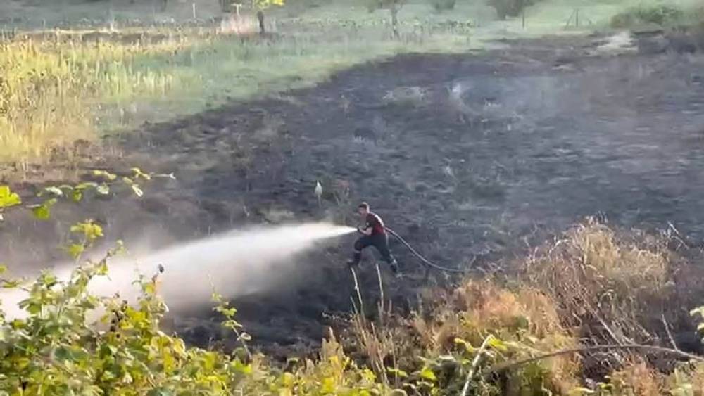 Tarlada yakılan ateş otluk alana sı&ccedil;radı: 4 d&ouml;n&uuml;m alan zarar g&ouml;rd&uuml;
