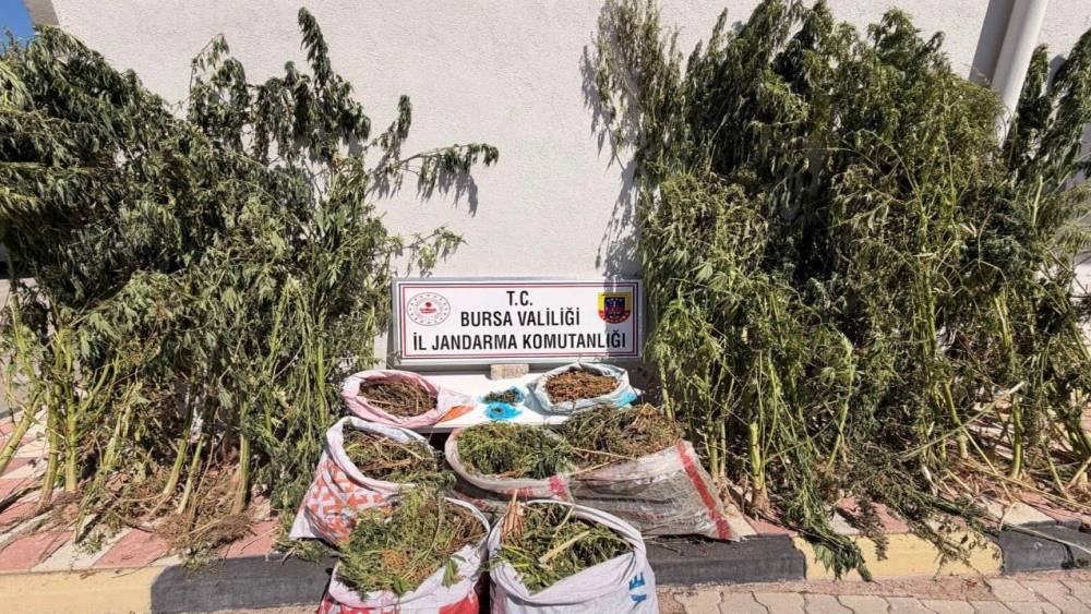 Bursa&rsquo;da uyuşturucu operasyonu: 22 kilo 675 gram esrar ele ge&ccedil;irildi
