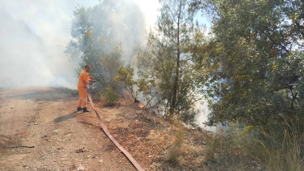 Bursa&rsquo;da orman yangını
