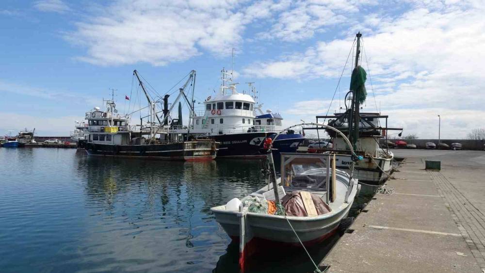 Balıkta bereketli sezon: "Halk bu yıl balığa doydu"
