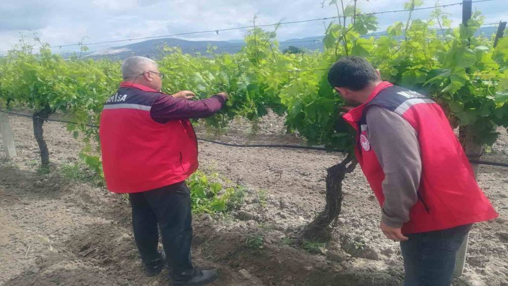 Manisa&rsquo;da tarım denetimleri hız kesmiyor
