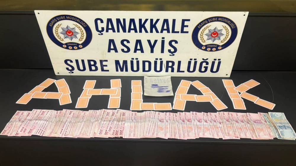 &Ccedil;anakkale&rsquo;de &ccedil;eşitli su&ccedil;lardan aranan 9 ş&uuml;pheli tutuklandı
