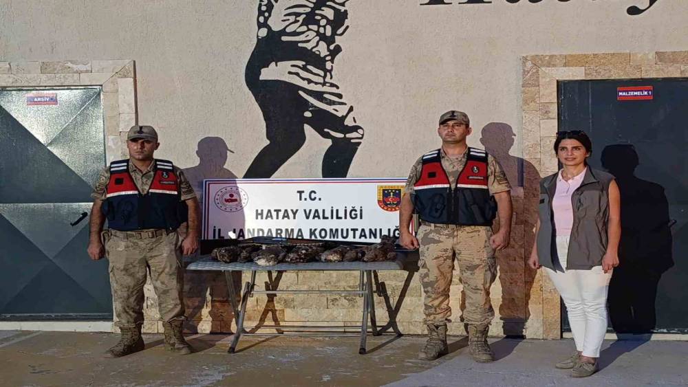 Hatay&rsquo;da 7 arı şahini avlayan şahsa ceza yağdı
