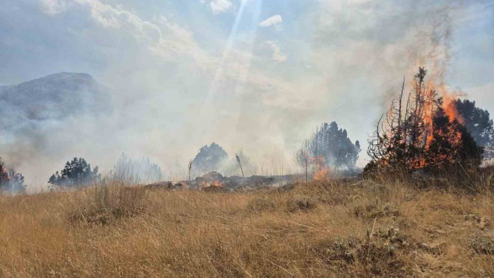 Isparta&rsquo;da ormanlık alanda &ccedil;ıkan yangın 6 saatte s&ouml;nd&uuml;r&uuml;ld&uuml;
