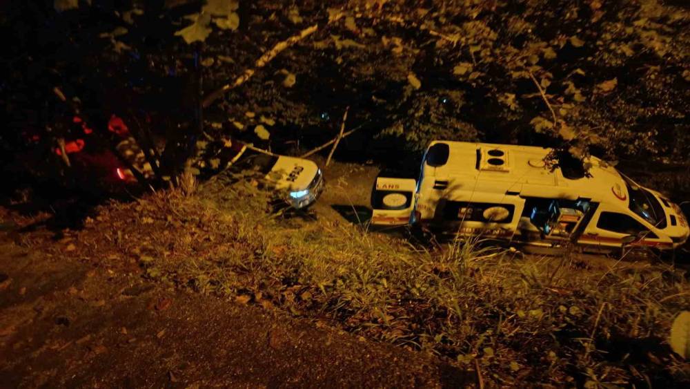 Park sırasında kontrolden &ccedil;ıkan ara&ccedil; u&ccedil;uruma yuvarlandı: 2 &ouml;l&uuml;, 1 yaralı
