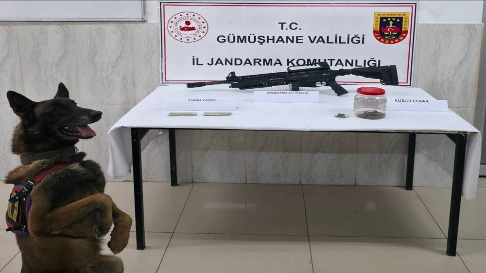 G&uuml;m&uuml;şhane&rsquo;de jandarmadan uyuşturucu ve ruhsatsız silah operasyonu

