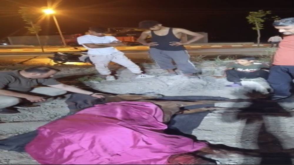 Minib&uuml;s&uuml;n &ccedil;arptığı başıboş at "Haybulans" ile tedaviye alındı
