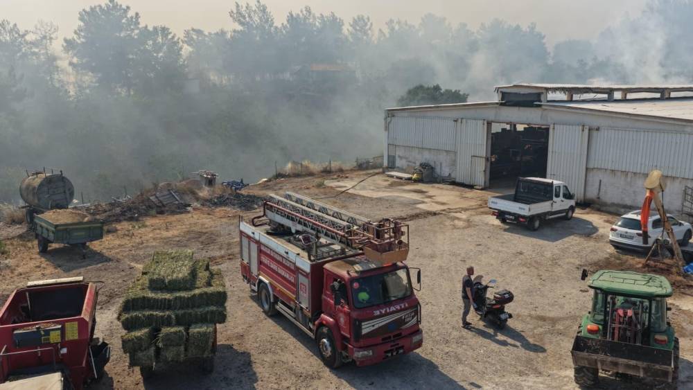 Balıkesir&rsquo;de &uuml;&ccedil; ayrı noktada yangın
