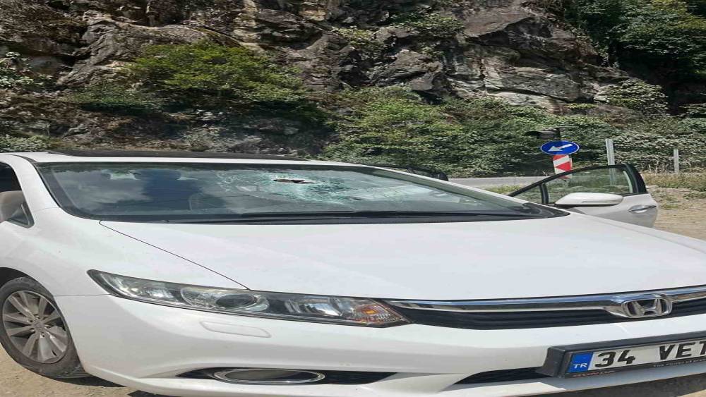 Rize&rsquo;de otomobilin &uuml;zerine kaya d&uuml;şt&uuml;: 1 yaralı
