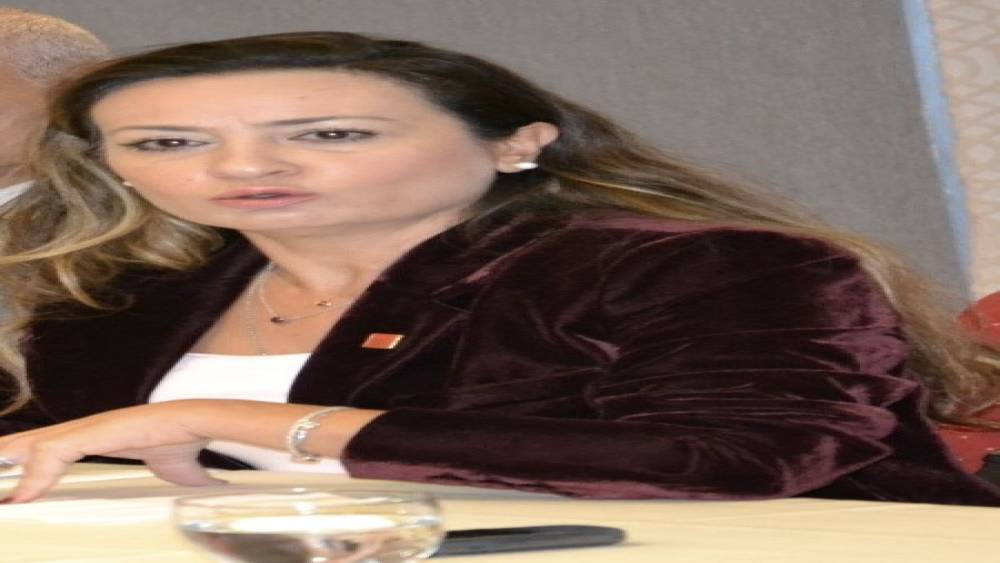 Yeni Parti Manisa İl Başkanı İlksen &Ouml;zalper g&ouml;zaltına alındı

