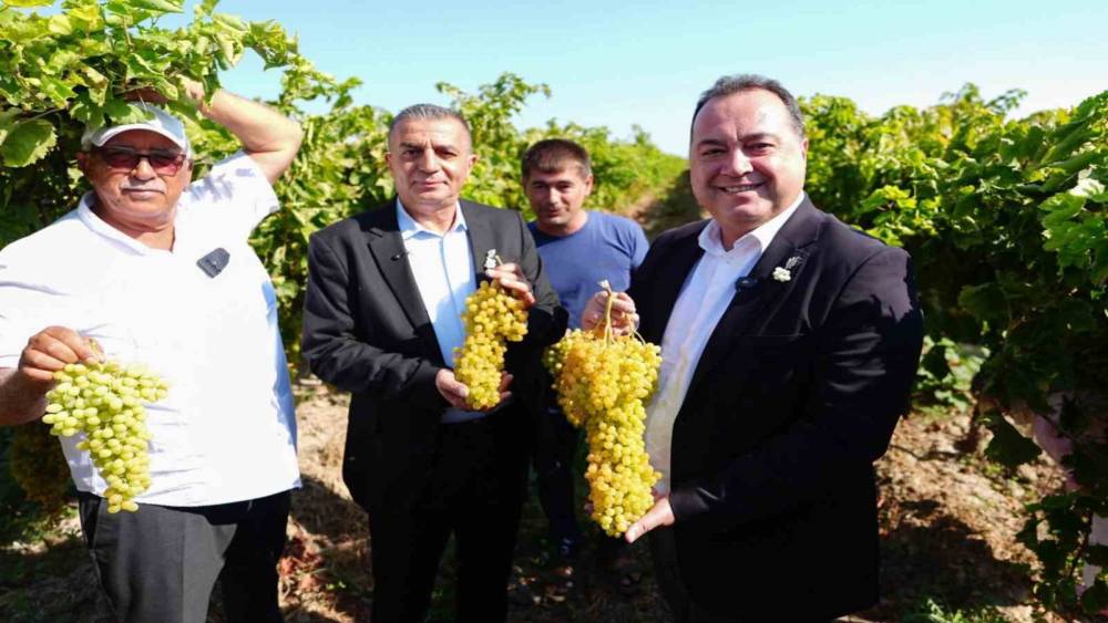 Manisa&rsquo;da bağbozumu heyecanı başladı
