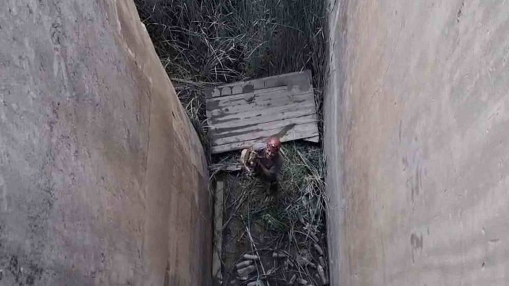 Koruma altındaki dağ ke&ccedil;isi i&ccedil;in &ouml;zel kurtarma operasyonu
