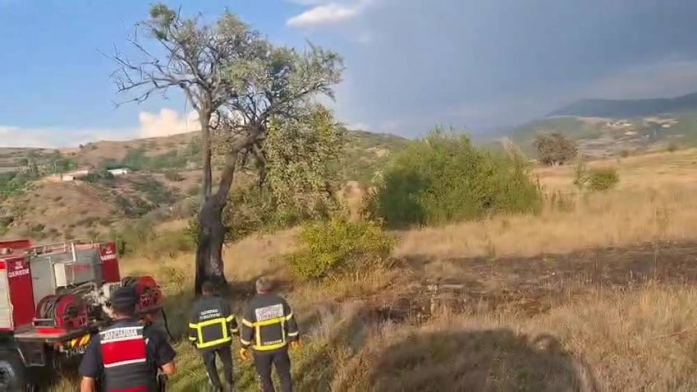 Bolu&rsquo;da ağaca d&uuml;şen yıldırım yangına sebep oldu
