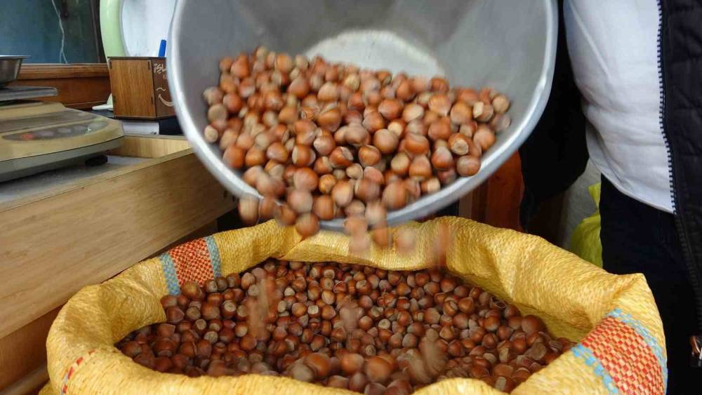 D&uuml;zce&rsquo;den iki ayda bin 837 ton fındık ihra&ccedil; edildi
