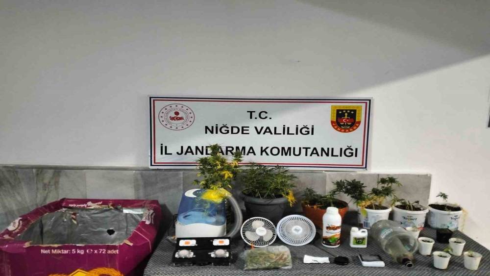 Niğde&rsquo;de yasadışı kenevir yetiştirenlere operasyon

