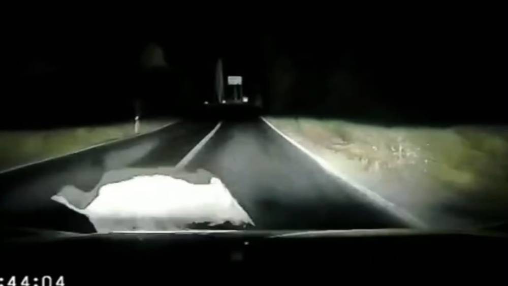 Otomobil domuza &ccedil;arptı; &ccedil;arpma anı ara&ccedil; kamerasında
