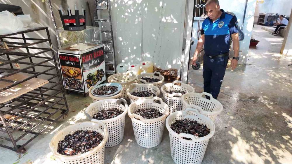 Mersin&rsquo;de 200 kilo bozuk midye dolması ele ge&ccedil;irildi
