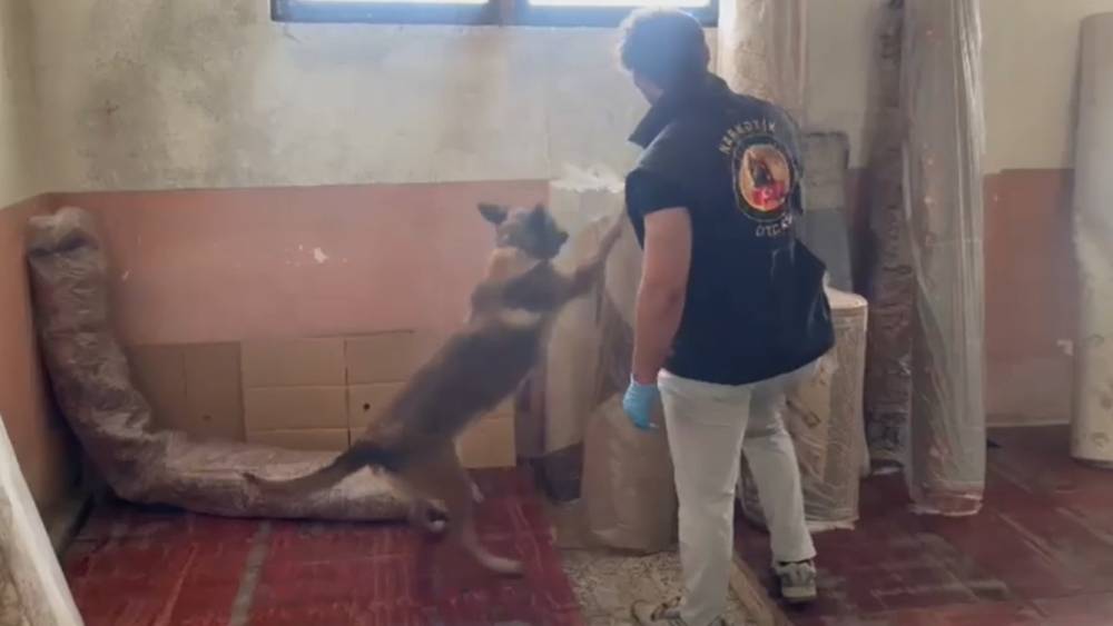 Kastamonu&rsquo;daki uyuşturucu operasyonunda 5 ş&uuml;pheli tutuklandı
