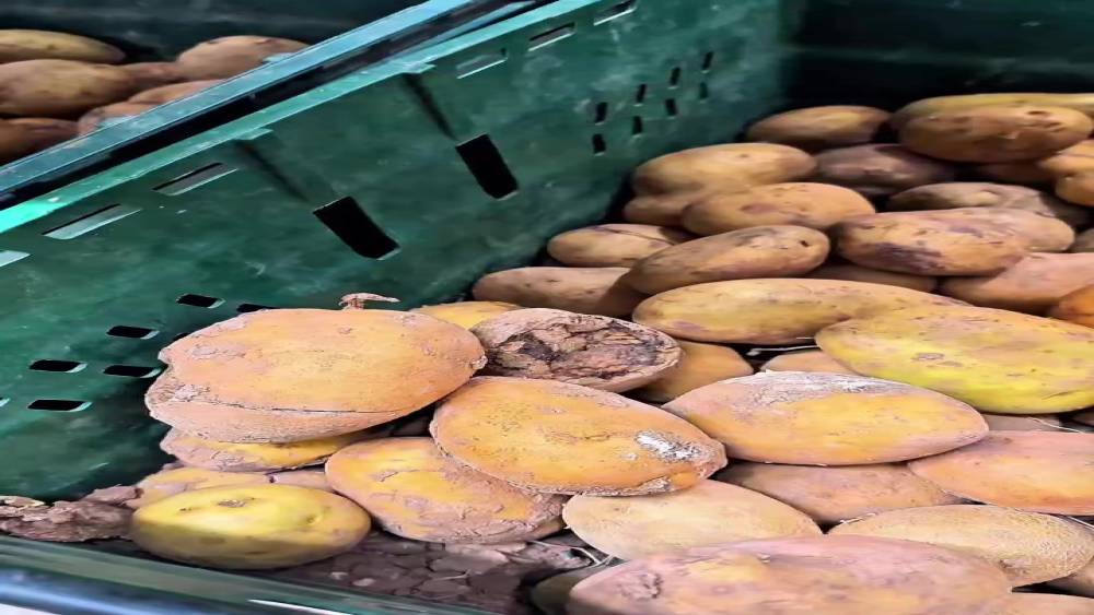 Market raflarında tarihi ge&ccedil;miş tavuk ve i&ccedil;ecek alarmı
