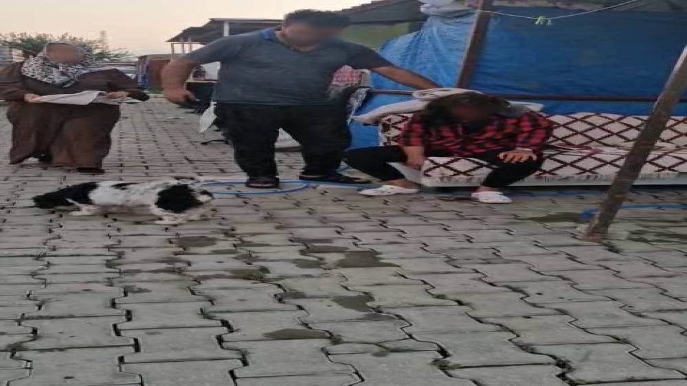 Konteyner kentte imam nikahlı koca dehşeti: Karısı ve kızıyla birlikte toplam 4 kişiyi palayla yaraladı
